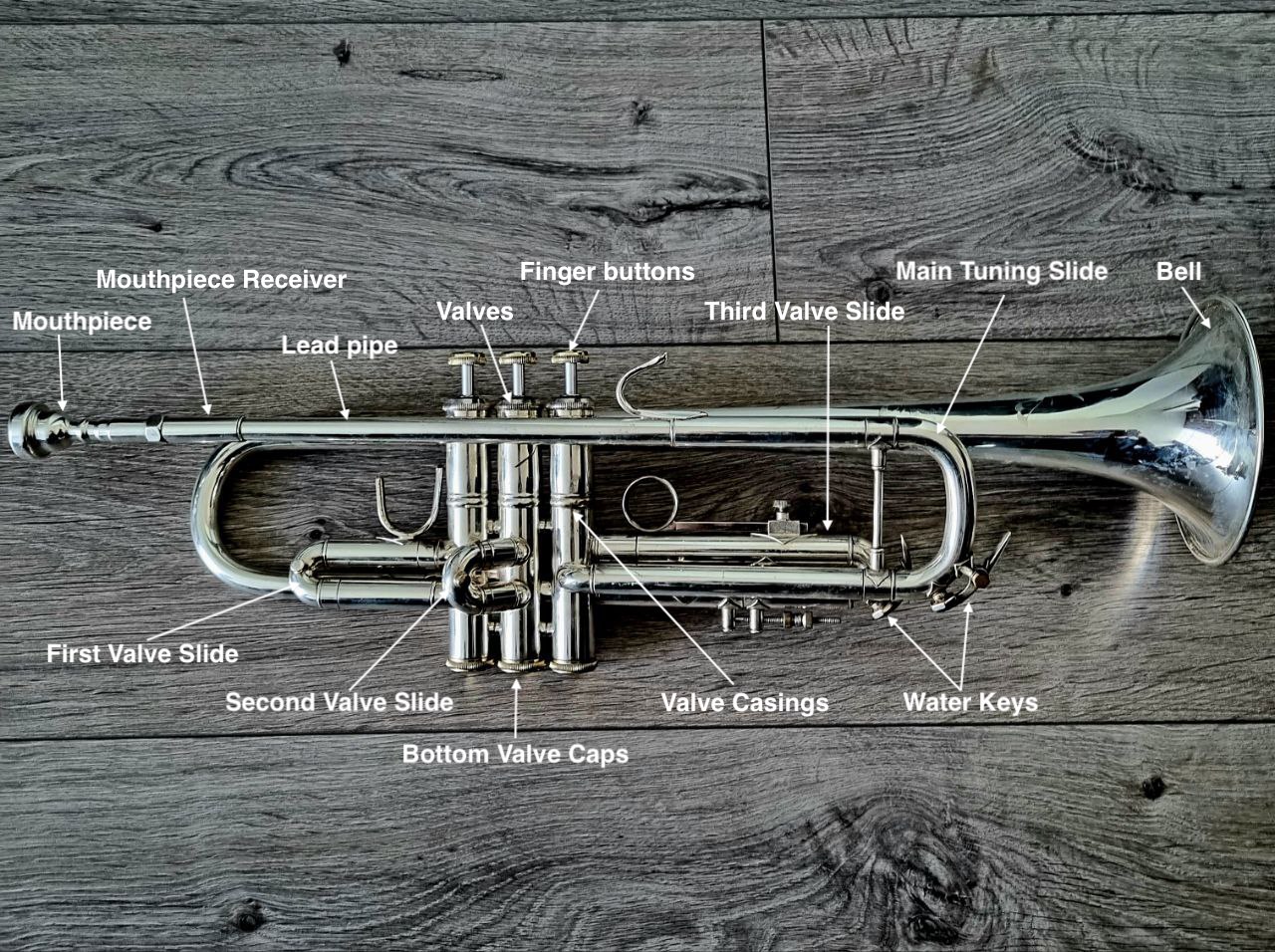 Anatomy of the Trumpet